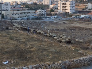uitzicht vanuit het logeerhuis