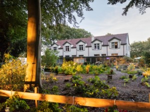 Groot Dennenlust voortuin met boom