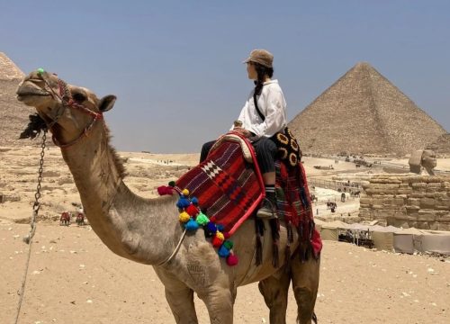 20250218143236_706_WhatsAppImage2024-05-02at15.38.32@2x