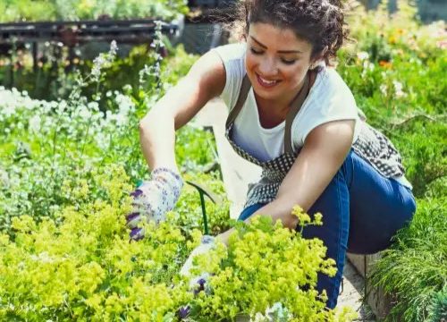 Tuinman of -vrouw bij vrouwencentrum in Amman