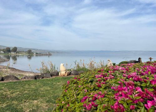 midden-oosten-afbeeldingen-018